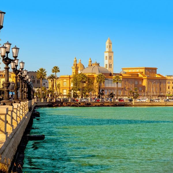 Południe Na Dzień Dobry