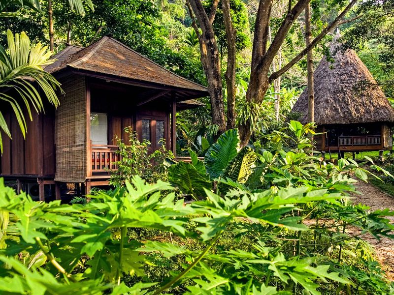 Barefoot at Havelock