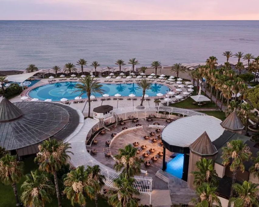 Papillon Belvil Club