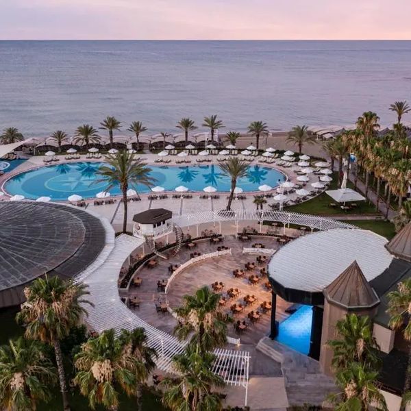 Papillon Belvil Club