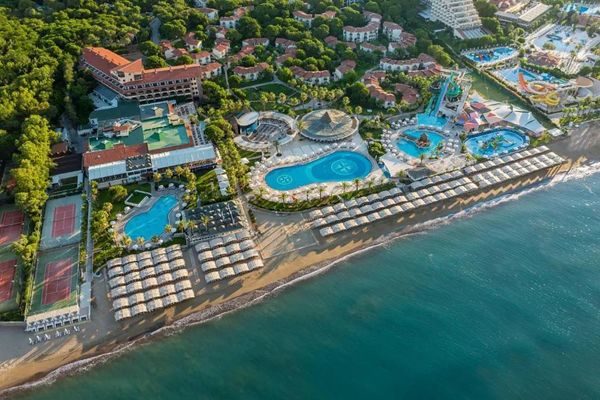 Papillon Belvil Club