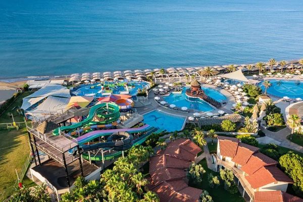 Papillon Belvil Club