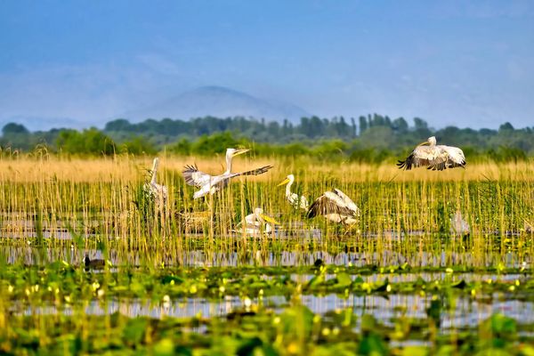 Podróże ze smakiem - Czarnogóra