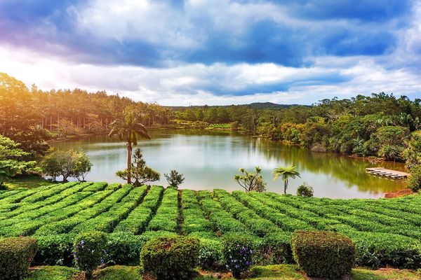 Mauritius: Siedem Kolorów Raju