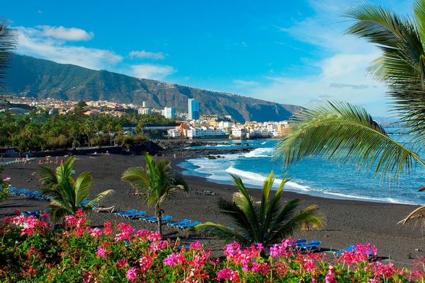 Teneryfa w kolorach natury