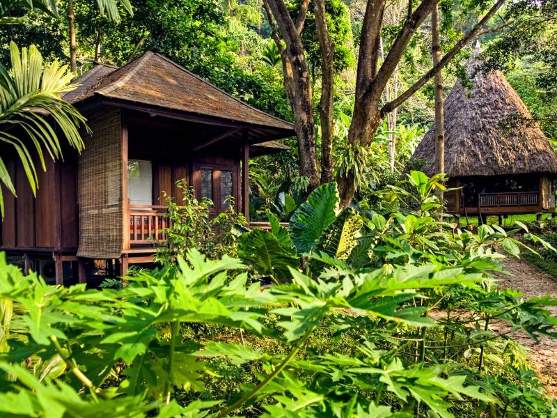 Barefoot at Havelock