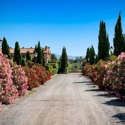 Residence Borgo Verde