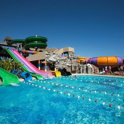 Papillon Belvil Club