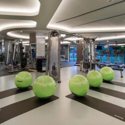 Papillon Belvil Club