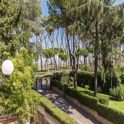 Pinewood Roma