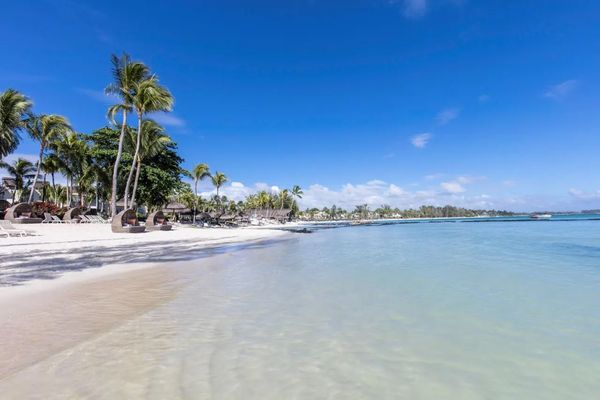 Ambre Mauritius
