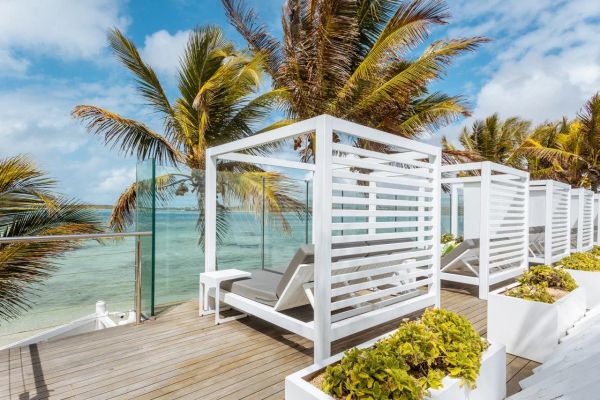 Tropical Attitude