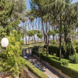 Pinewood Roma