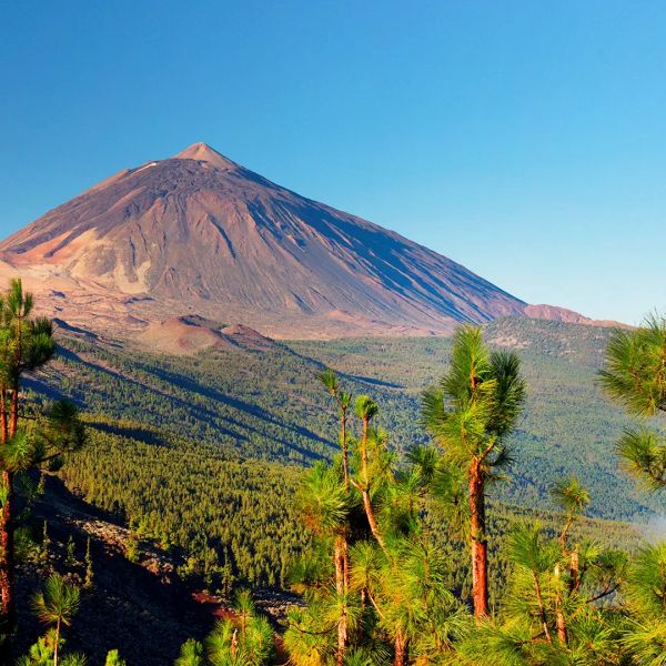 Teneryfa & La Gomera - Tam, Gdzie Lawa Spotyka Zieleń