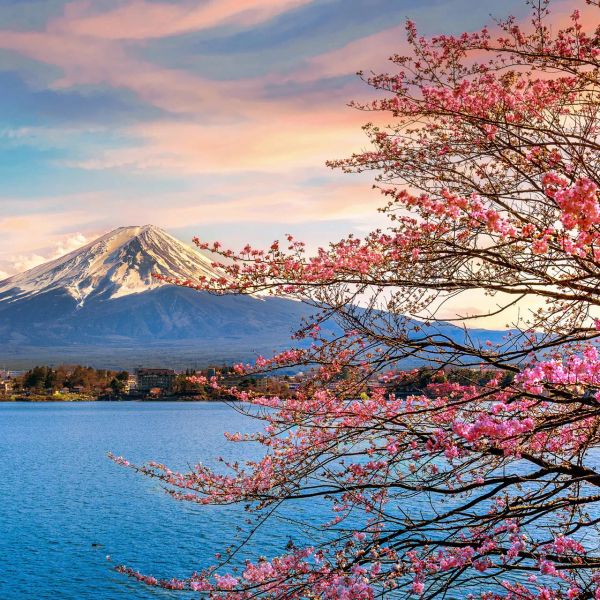 Japonia - Między Kwiatem Wiśni a Błękitem Pacyfiku