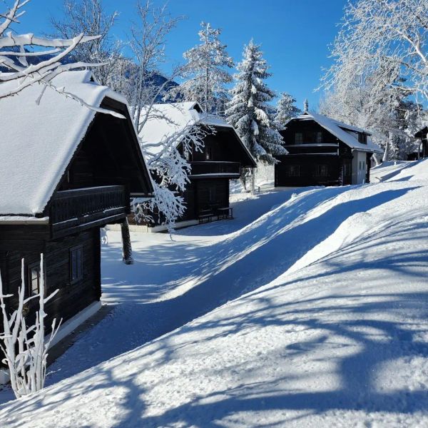 Naturel Hoteldorf Schonleitn — Oberaichwald, Austria