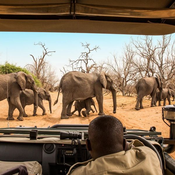 Tam, gdzie rządzi natura: Zimbabwe i Botswana