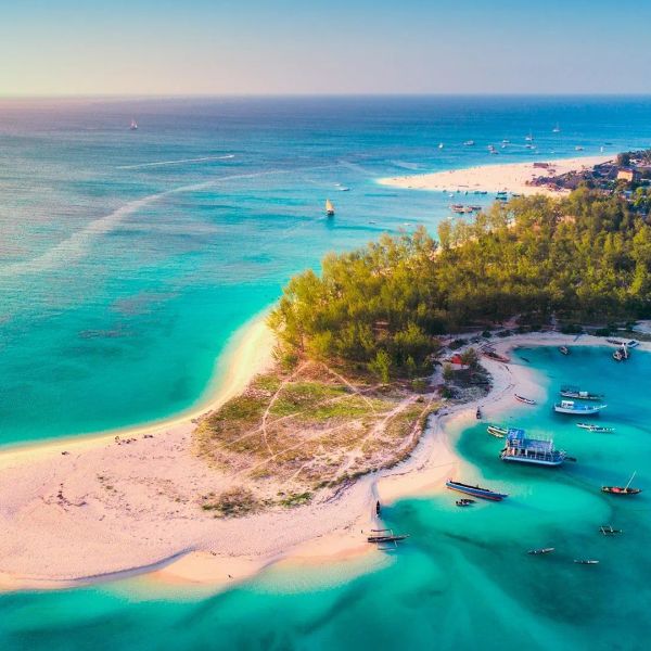 Ahoj Zanzibar! Rejs i Safari w Parku Narodowym Saadani