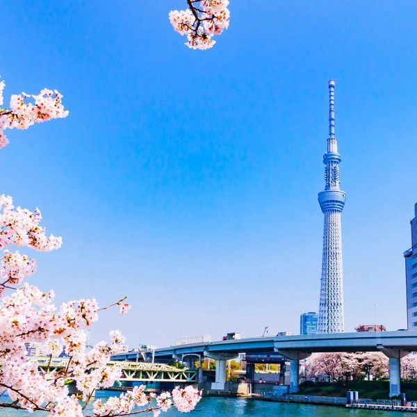 MSC Bellissima / Rejs Chiny i Japonia z Szanghaju