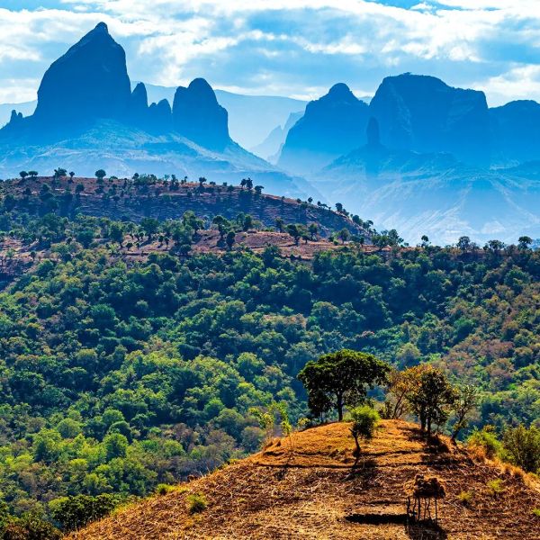 Aktywna Etiopia: Od Gór Semien Do Depresji Danakil
