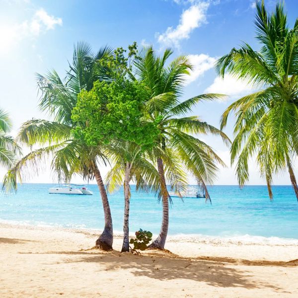 MSC Opera / Rejs Dominikana, Barbados, Martynika, Antigua i Wyspy Dziewicze - La Romana