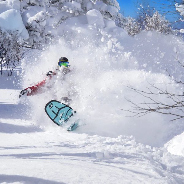 Ski Safari - Narty w Japonii