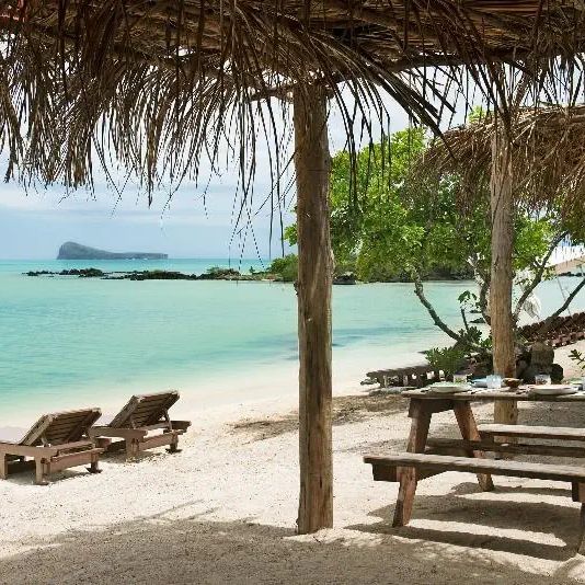 Zilwa Attitude — Calodyne, Mauritius