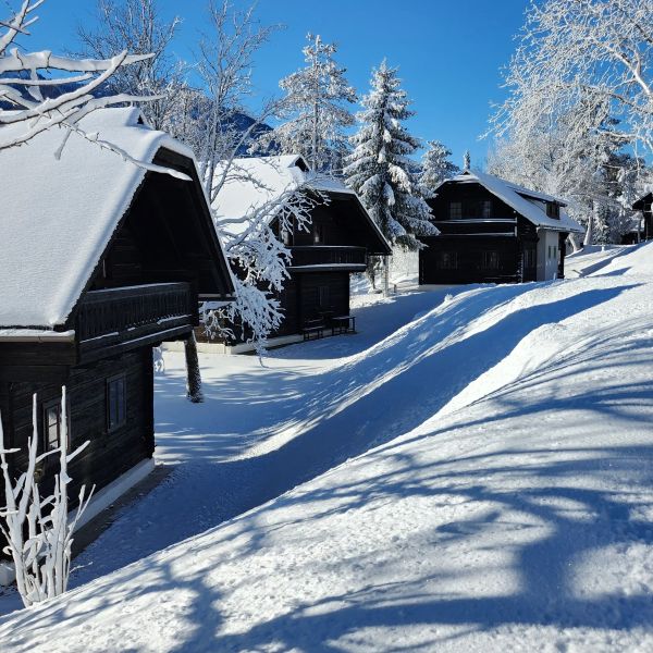Hotel Naturel Hoteldorf Schonleitn w Austria (Karyntia) - oferta last minute