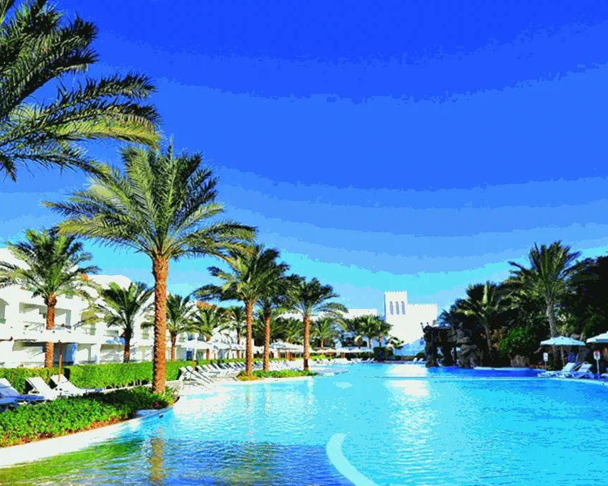 Baron Palms