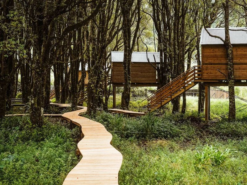 Kanopea Forest Lodge