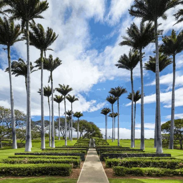 The Westin Hapuna Beach Resort (Ex - Hapuna Beach Prince ) — Waimea, Stany Zjednoczone