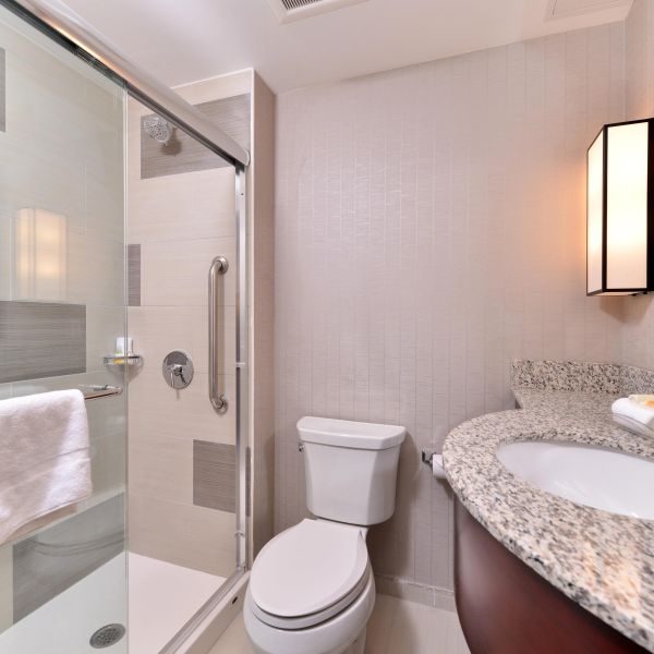 Hotel Holiday Inn New York City w Stany Zjednoczone (NOWY JORK) - oferta last minute