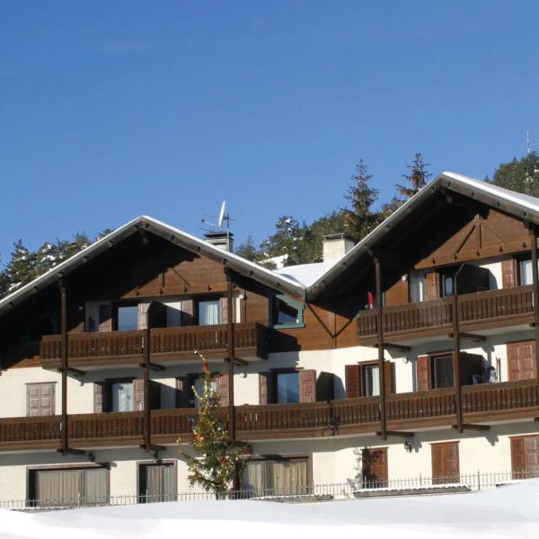 Fior D'Alpe