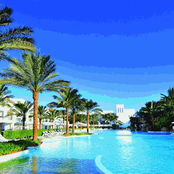 Baron Palms