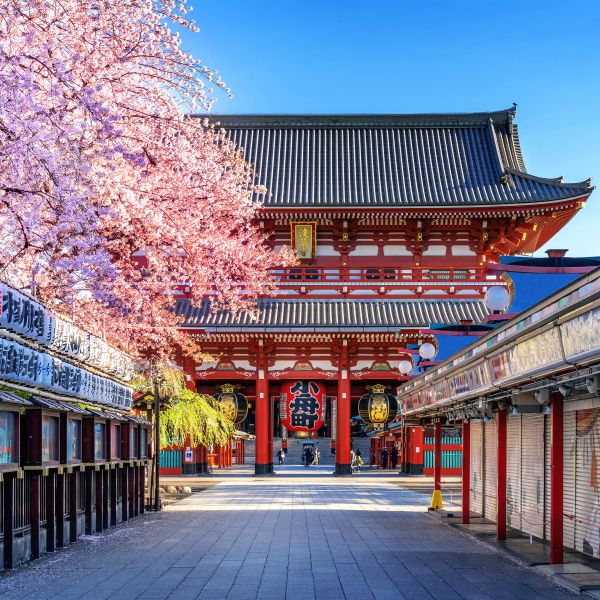 Japonia - Wielka Japońska Wyprawa