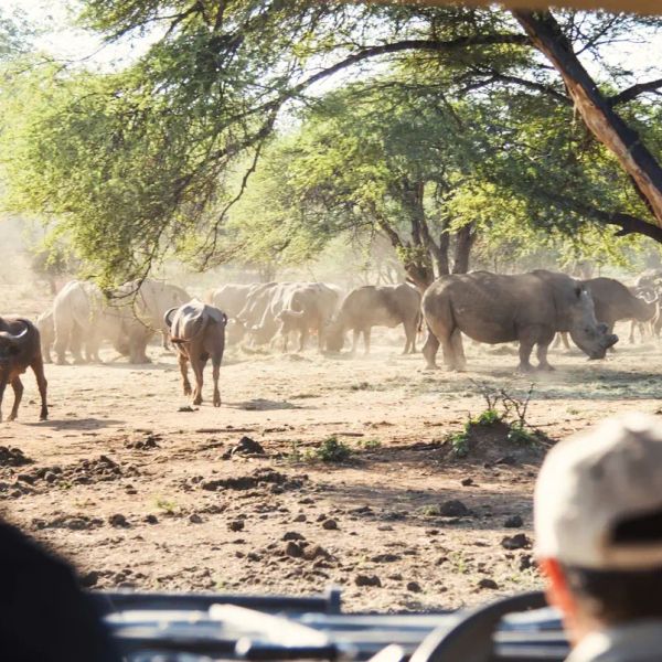 Namibia - Namibia Botswana Zimbabwe