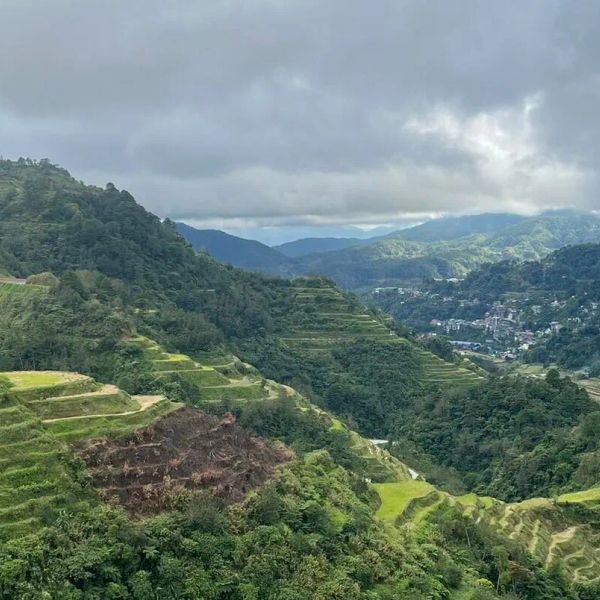 Filipiny Luzon Palawan Cebu Bohol