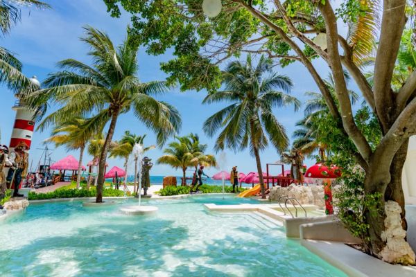 Grand Oasis Palm