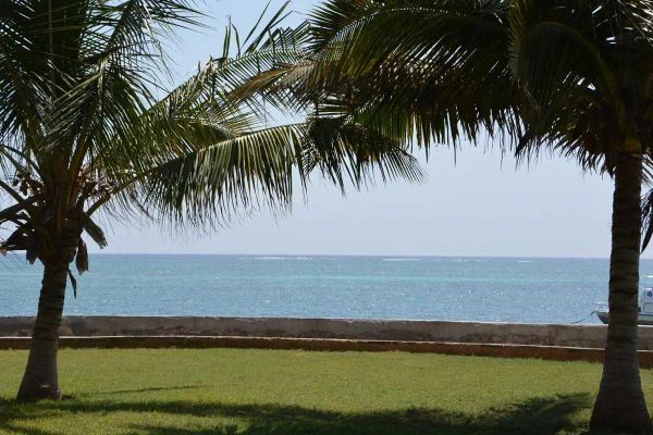 Neptune Palm Beach