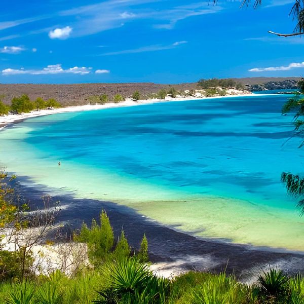 Aktywny Madagaskar Dżungla Tsingy I Ocean