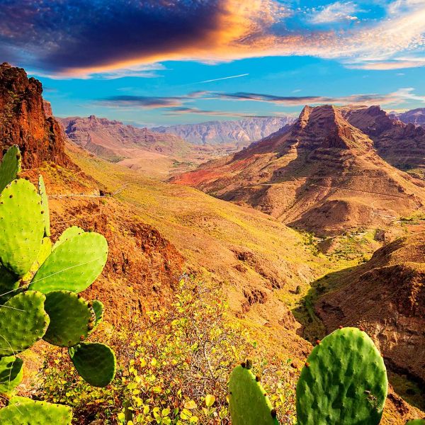 Hola Gran Canaria!