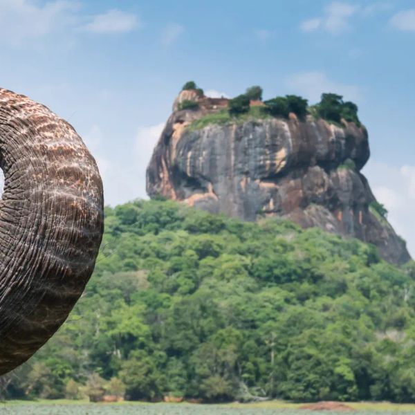 Sri Lanka - Sylwester na tropikalnej wyspie
