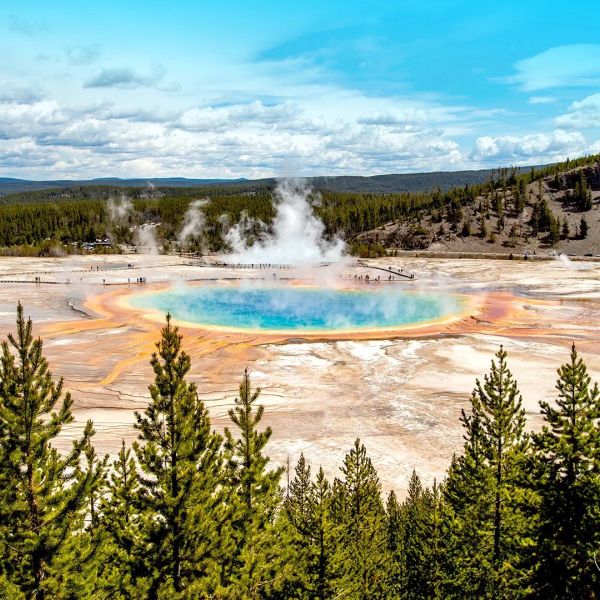 Dzika przyroda USA: od Yellowstone po Arches