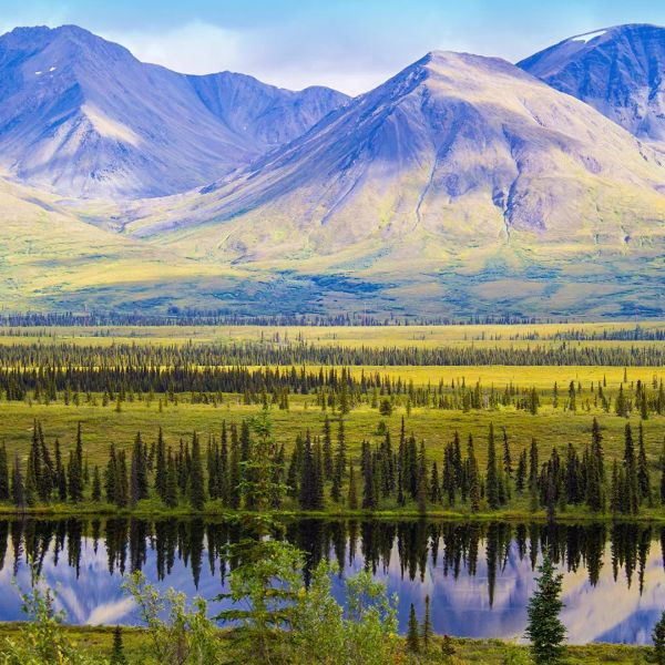 Przystanek Alaska