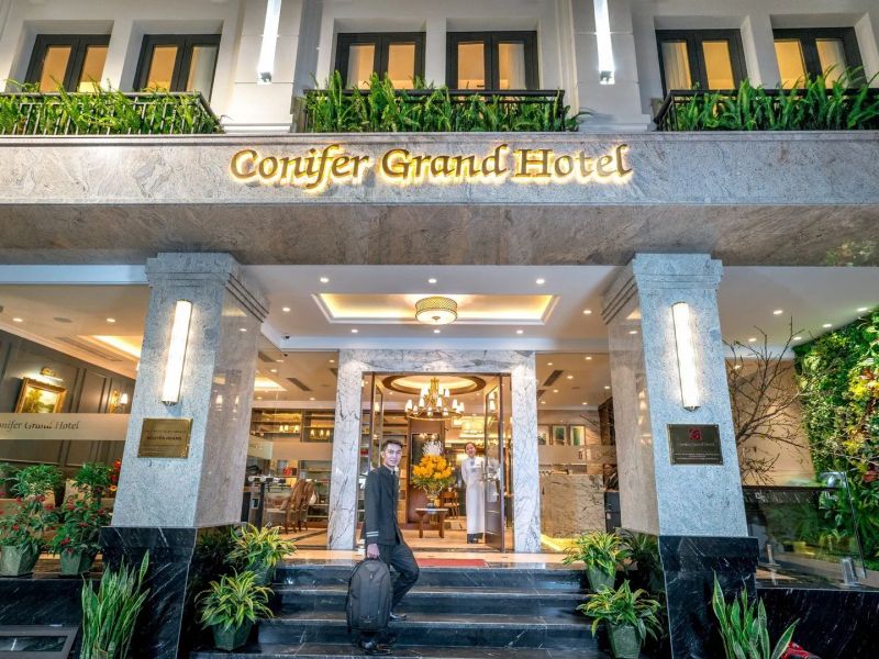 Conifer Grand