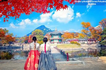 Słodko - pikantna Korea Południowa