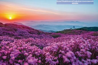 Korea Południowa od tradycji po nowoczesność