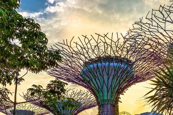 Singapur - Malezja - Wietnam - Tajlandia