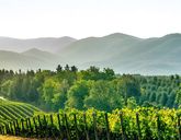 Tbilisi i Baku - Jak wino i ogień