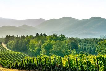 Tbilisi i Baku - Jak wino i ogień